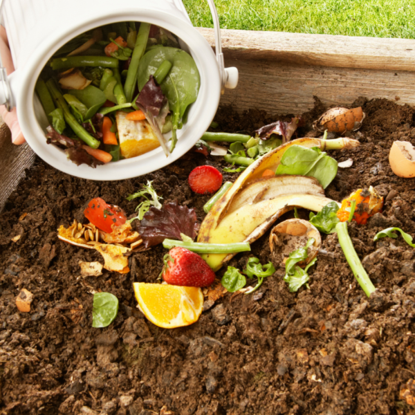 Difference between Compostable and Biodegradable