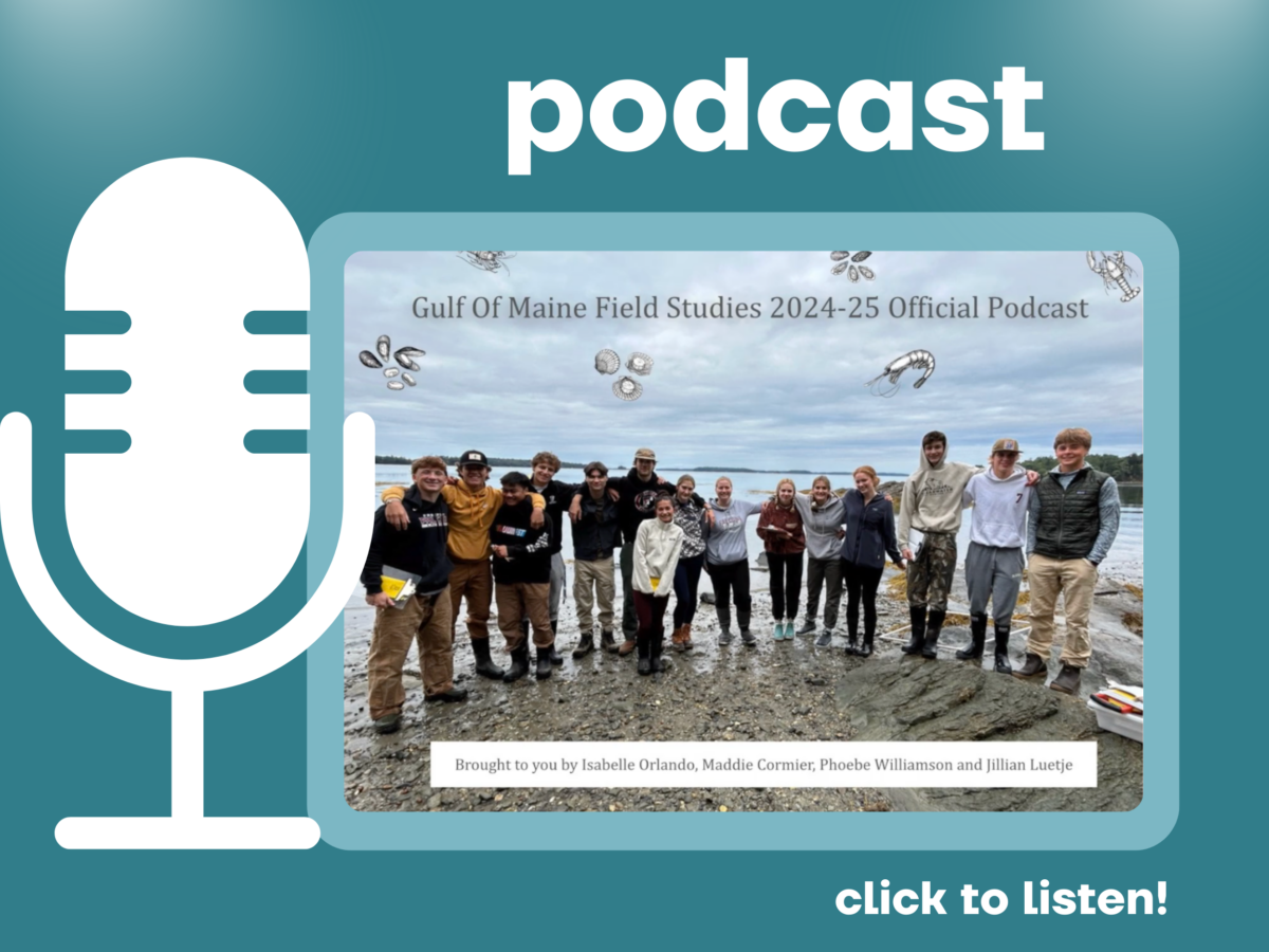 podcast